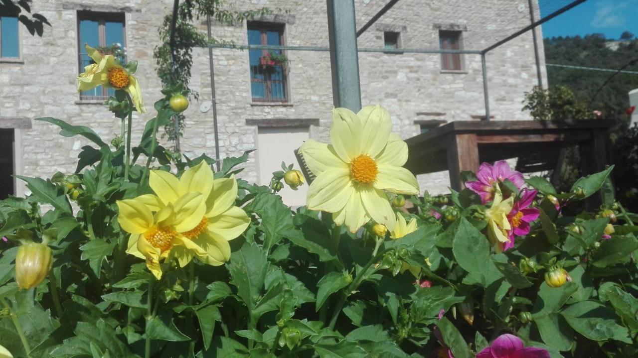 Casale Le Fontanelle Monte Grimano Terme Exterior foto