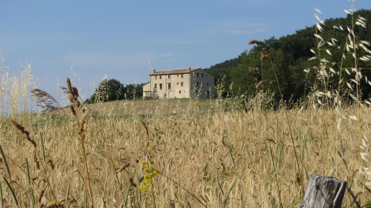 Casale Le Fontanelle Monte Grimano Terme Exterior foto