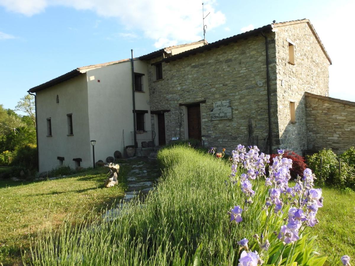 Casale Le Fontanelle Monte Grimano Terme Exterior foto